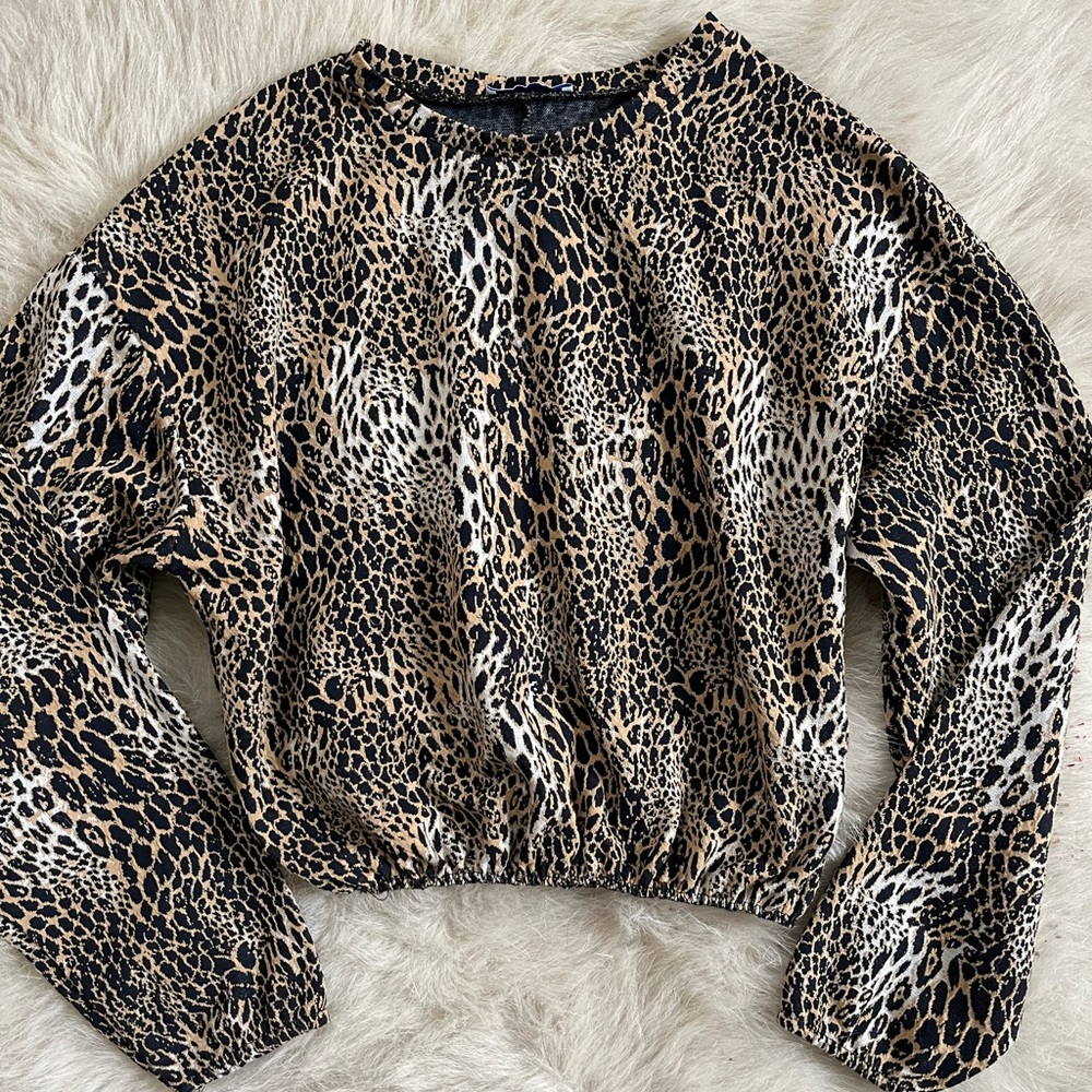 zara leopard top